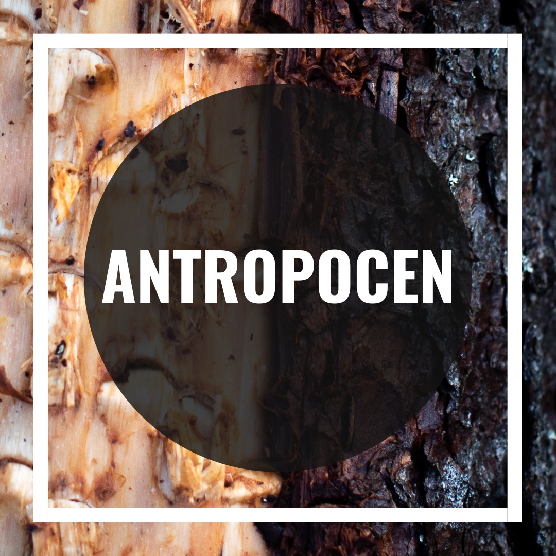 Antropocen Podcast omslag